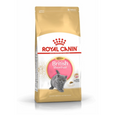 Royal Canin Feline British Shorthair Kitten