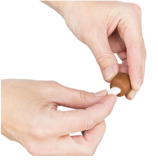 Trixie Snack Tabletten-Versteck - 100g