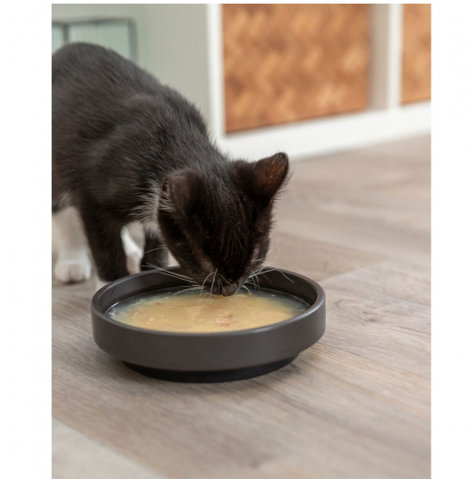 Trixie Soup mit Huhn & Lachs - 80g