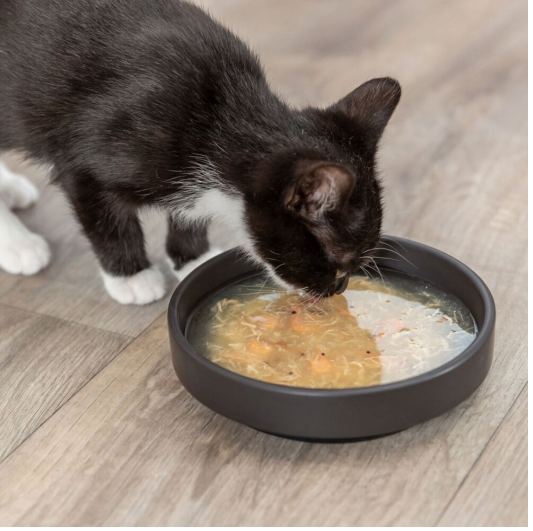 Trixie Soup mit Huhn & Lachs - 80g