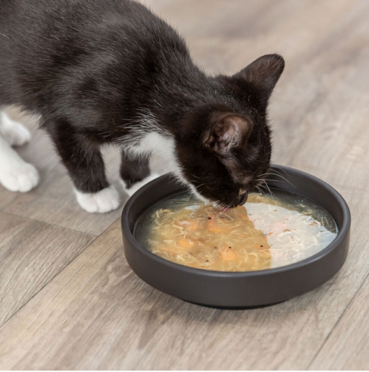 Trixie Kittis Salmon Soup - 4 × 80 g
