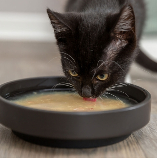 Trixie Kittis Salmon Soup - 4 × 80 g