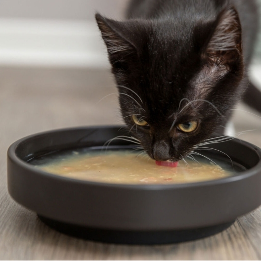 Trixie Kittis Shrimp Soup - 4 × 80 g