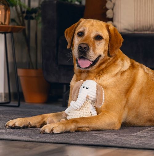 Beeztees Eco Kuscheltuch Nory